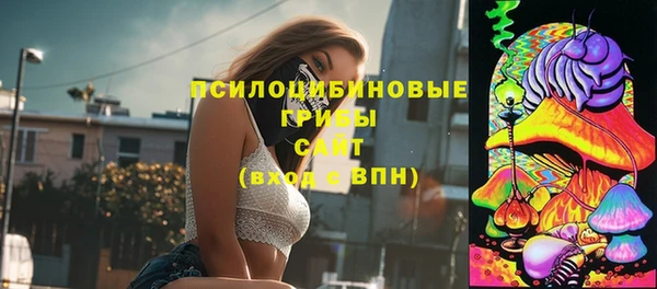 амф Абинск