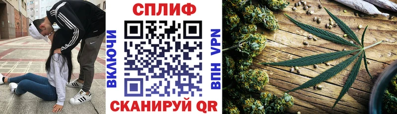 Бошки Шишки индика  кракен рабочий сайт  Чита 
